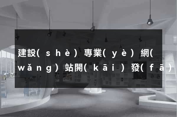 建設(shè)專業(yè)網(wǎng)站開(kāi)發(fā)公司