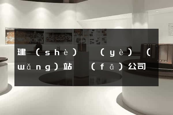 建設(shè)專業(yè)網(wǎng)站開發(fā)公司