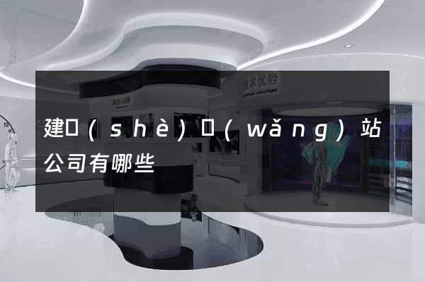 建設(shè)網(wǎng)站公司有哪些