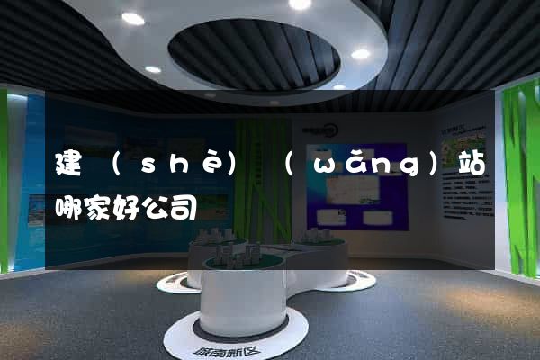 建設(shè)網(wǎng)站哪家好公司