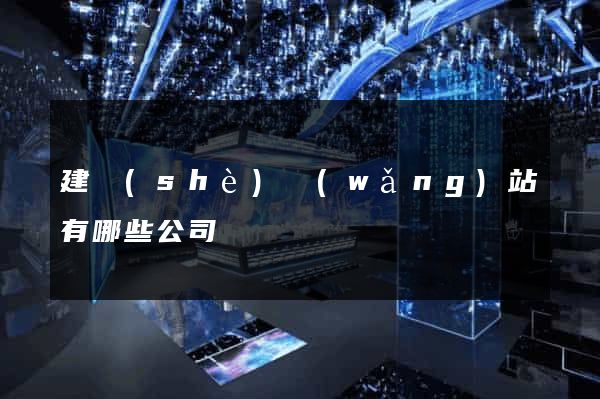 建設(shè)網(wǎng)站有哪些公司