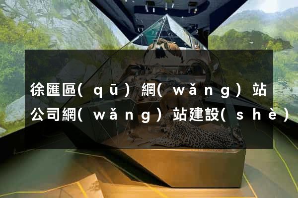 徐匯區(qū)網(wǎng)站公司網(wǎng)站建設(shè)