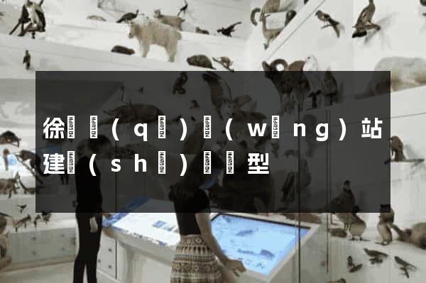 徐匯區(qū)網(wǎng)站建設(shè)營銷型