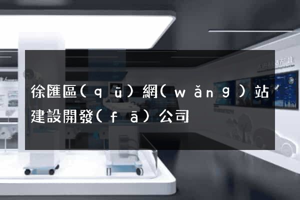 徐匯區(qū)網(wǎng)站建設開發(fā)公司
