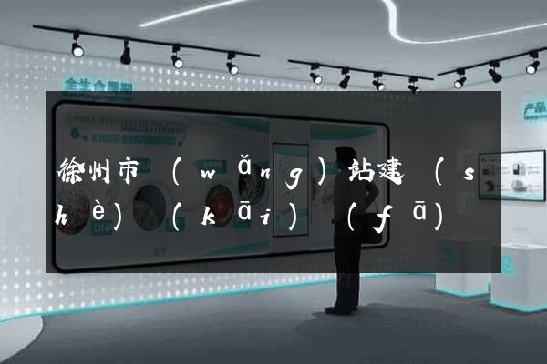 徐州市網(wǎng)站建設(shè)開(kāi)發(fā)