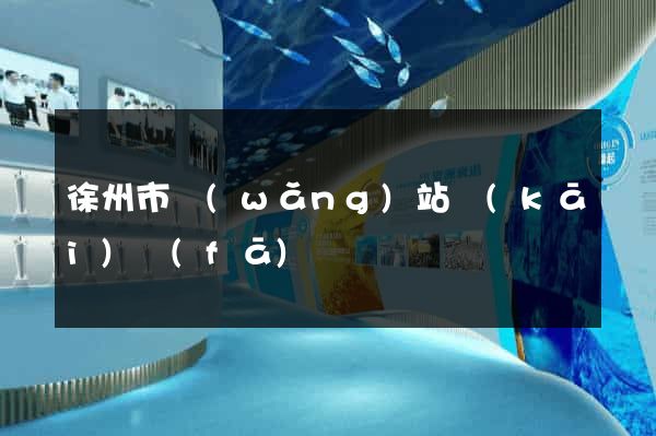 徐州市網(wǎng)站開(kāi)發(fā)