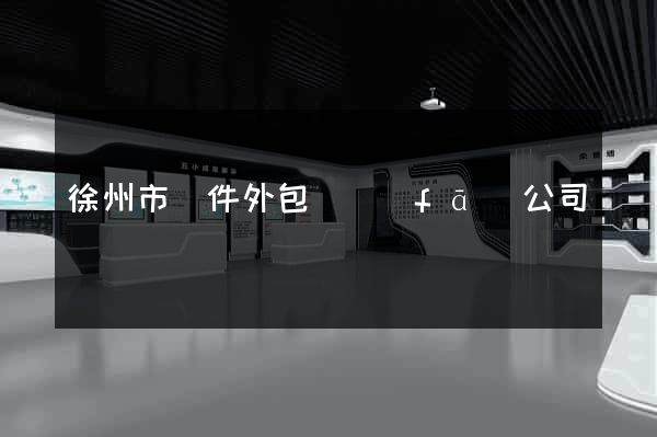 徐州市軟件外包開發(fā)公司