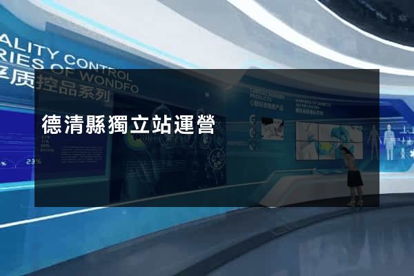 德清縣獨立站運營
