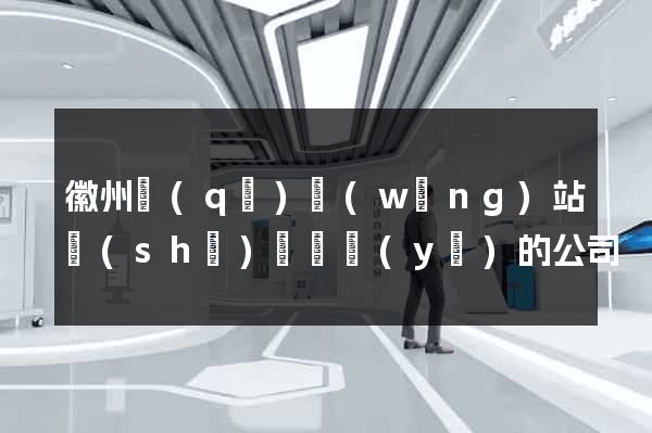 徽州區(qū)網(wǎng)站設(shè)計專業(yè)的公司