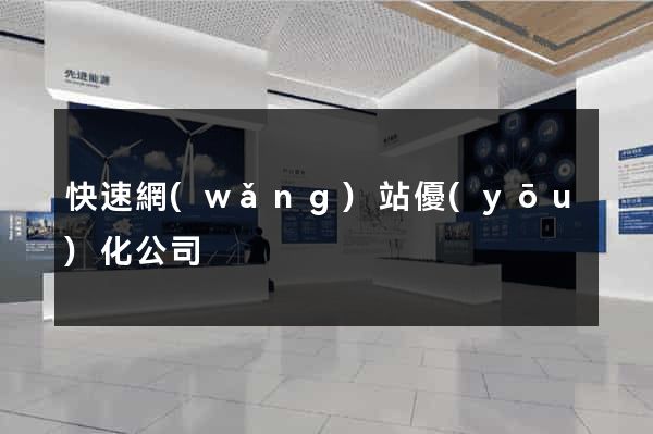 快速網(wǎng)站優(yōu)化公司