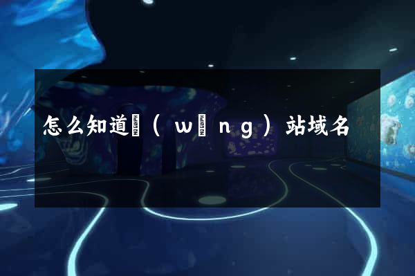 怎么知道網(wǎng)站域名