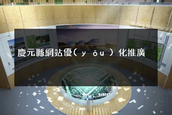 慶元縣網站優(yōu)化推廣