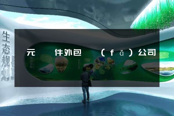 慶元縣軟件外包開發(fā)公司