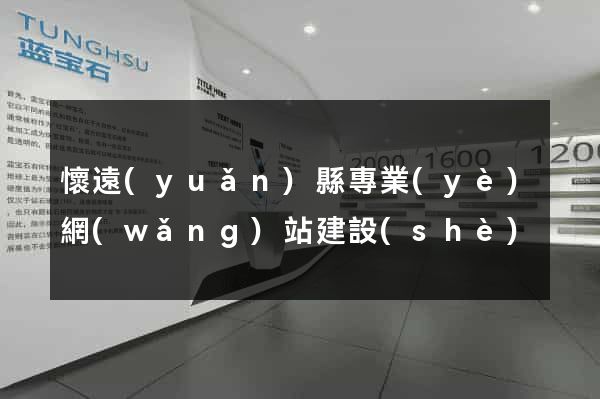 懷遠(yuǎn)縣專業(yè)網(wǎng)站建設(shè)