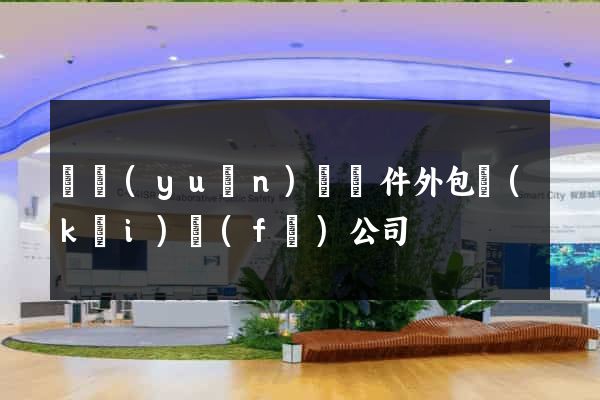 懷遠(yuǎn)縣軟件外包開(kāi)發(fā)公司