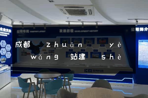 成都專(zhuān)業(yè)網(wǎng)站建設(shè)