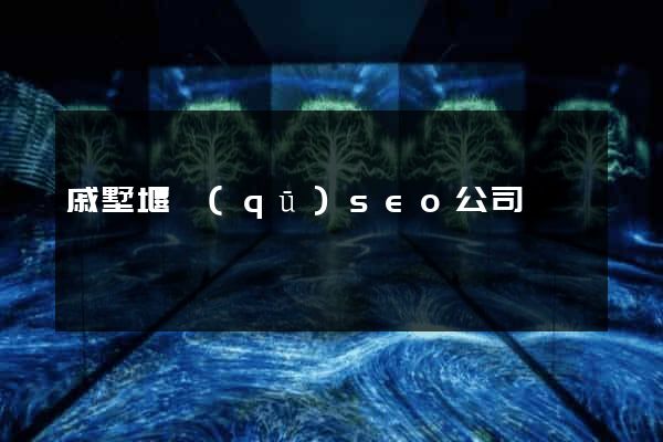 戚墅堰區(qū)seo公司