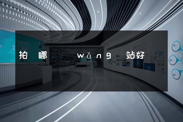 拍賣哪個網(wǎng)站好