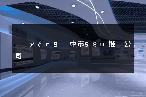 揚(yáng)中市seo推廣公司