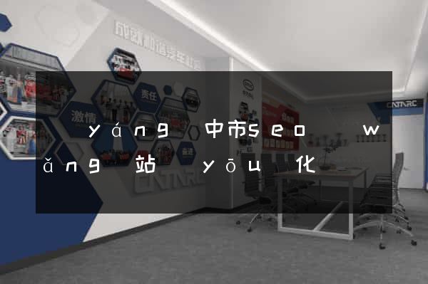 揚(yáng)中市seo網(wǎng)站優(yōu)化