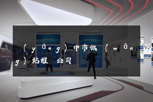 揚(yáng)中市做網(wǎng)站推廣公司