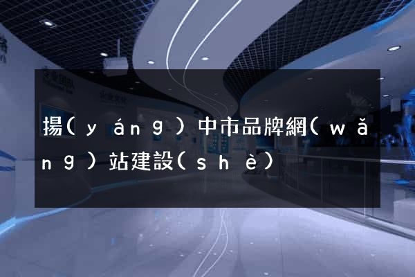 揚(yáng)中市品牌網(wǎng)站建設(shè)