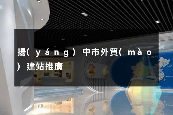 揚(yáng)中市外貿(mào)建站推廣