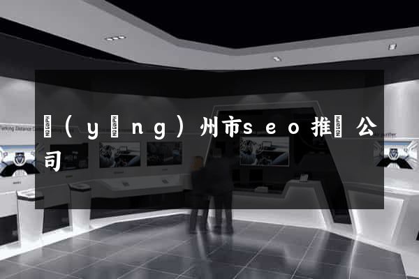 揚(yáng)州市seo推廣公司