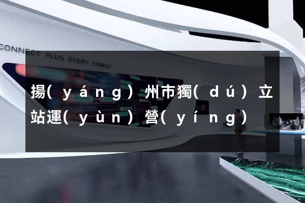 揚(yáng)州市獨(dú)立站運(yùn)營(yíng)