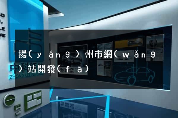 揚(yáng)州市網(wǎng)站開發(fā)