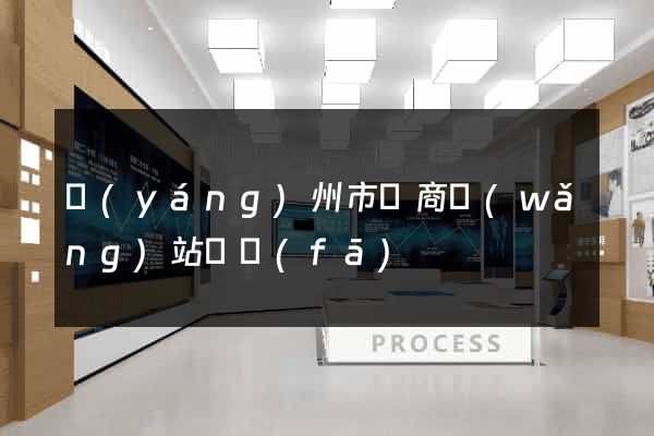 揚(yáng)州市電商網(wǎng)站開發(fā)