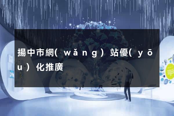 揚中市網(wǎng)站優(yōu)化推廣