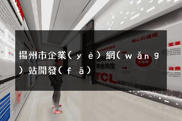 揚州市企業(yè)網(wǎng)站開發(fā)