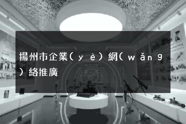 揚州市企業(yè)網(wǎng)絡推廣