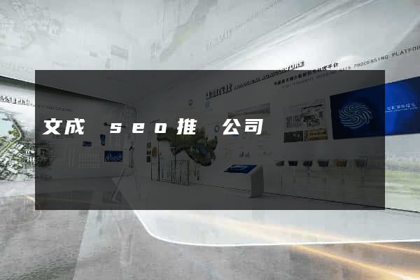 文成縣seo推廣公司