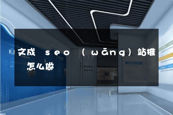 文成縣seo網(wǎng)站推廣怎么做