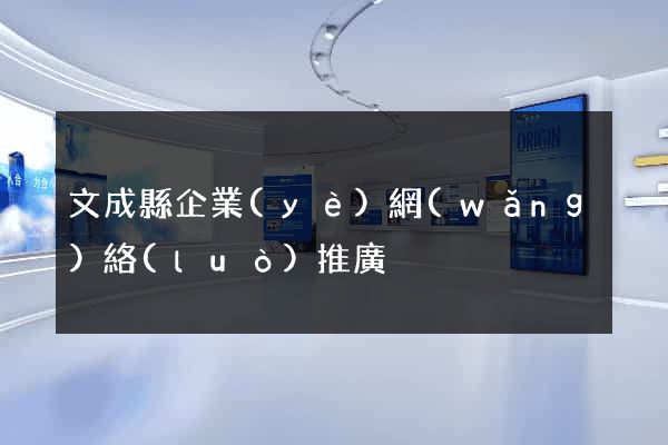 文成縣企業(yè)網(wǎng)絡(luò)推廣