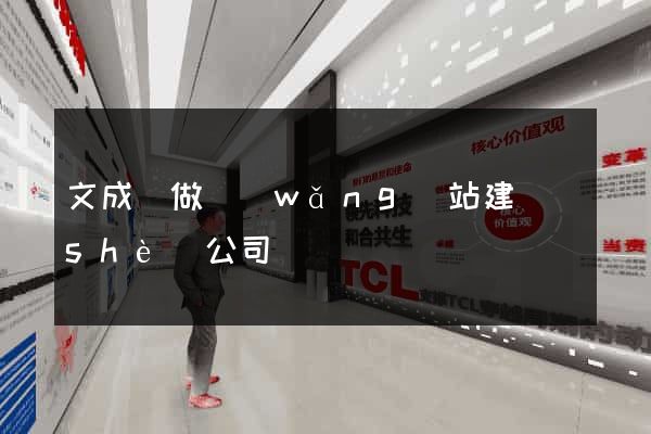 文成縣做網(wǎng)站建設(shè)公司