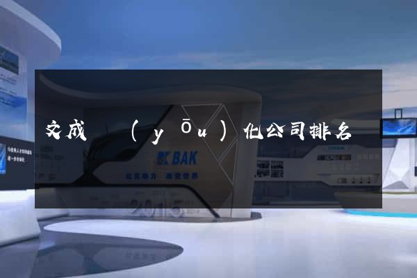文成縣優(yōu)化公司排名