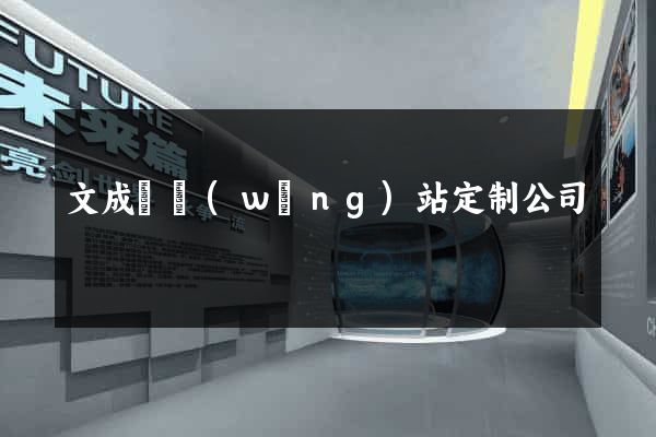 文成縣網(wǎng)站定制公司