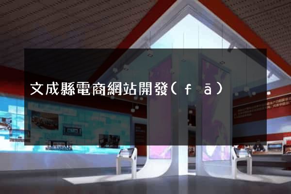 文成縣電商網站開發(fā)