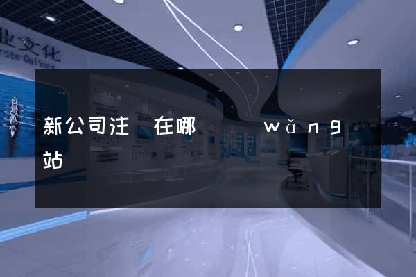 新公司注冊在哪個網(wǎng)站