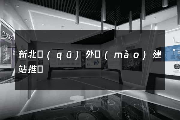 新北區(qū)外貿(mào)建站推廣