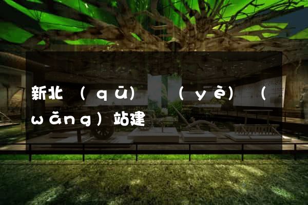新北區(qū)專業(yè)網(wǎng)站建設