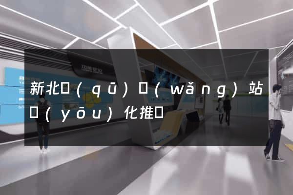 新北區(qū)網(wǎng)站優(yōu)化推廣