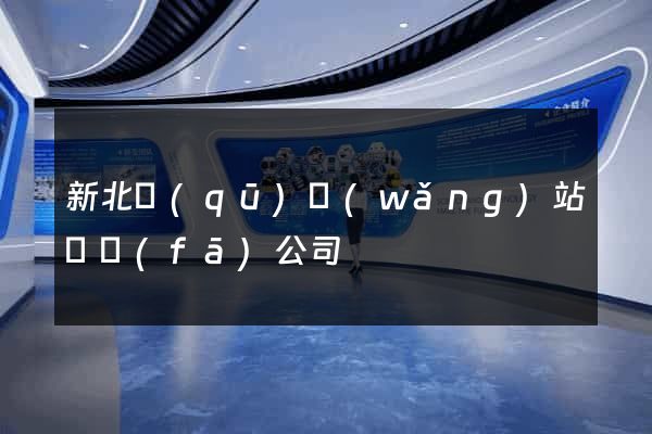 新北區(qū)網(wǎng)站開發(fā)公司