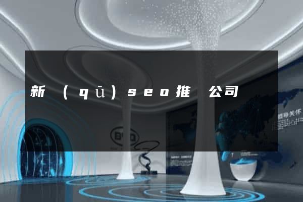 新區(qū)seo推廣公司