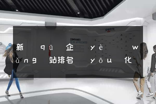 新區(qū)企業(yè)網(wǎng)站排名優(yōu)化