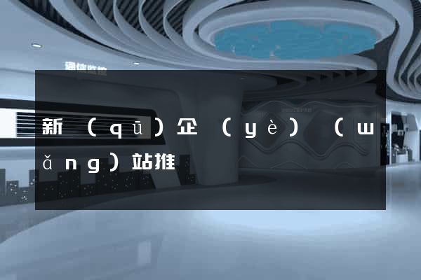 新區(qū)企業(yè)網(wǎng)站推廣