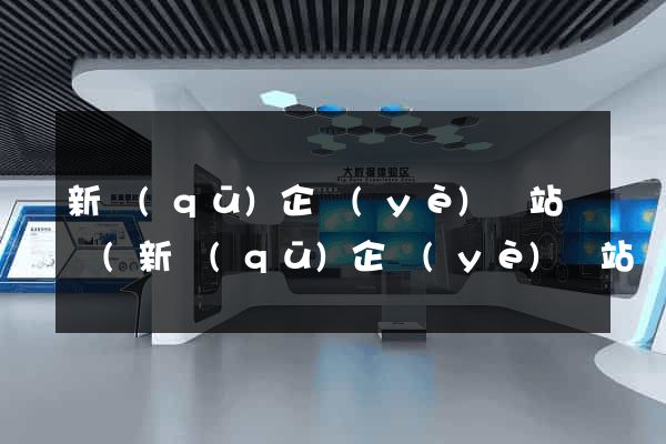 新區(qū)企業(yè)網站設計(新區(qū)企業(yè)網站設計方案)